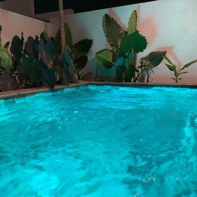 Villa Le Yucca 974 By J&V Saint Pierre Exterior foto