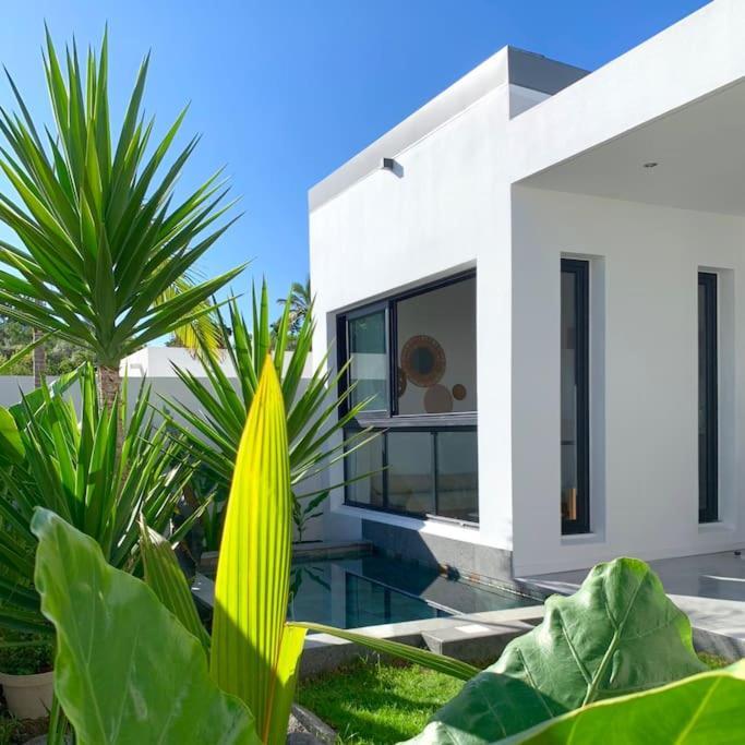 Villa Le Yucca 974 By J&V Saint Pierre Exterior foto
