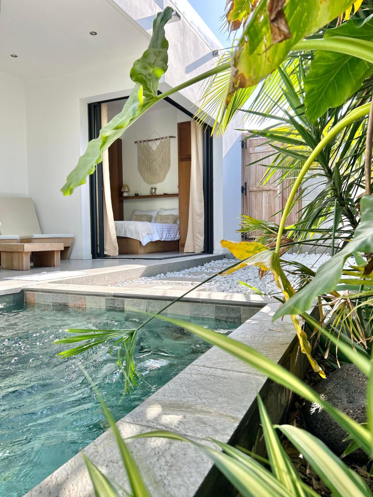 Villa Le Yucca 974 By J&V Saint Pierre Exterior foto