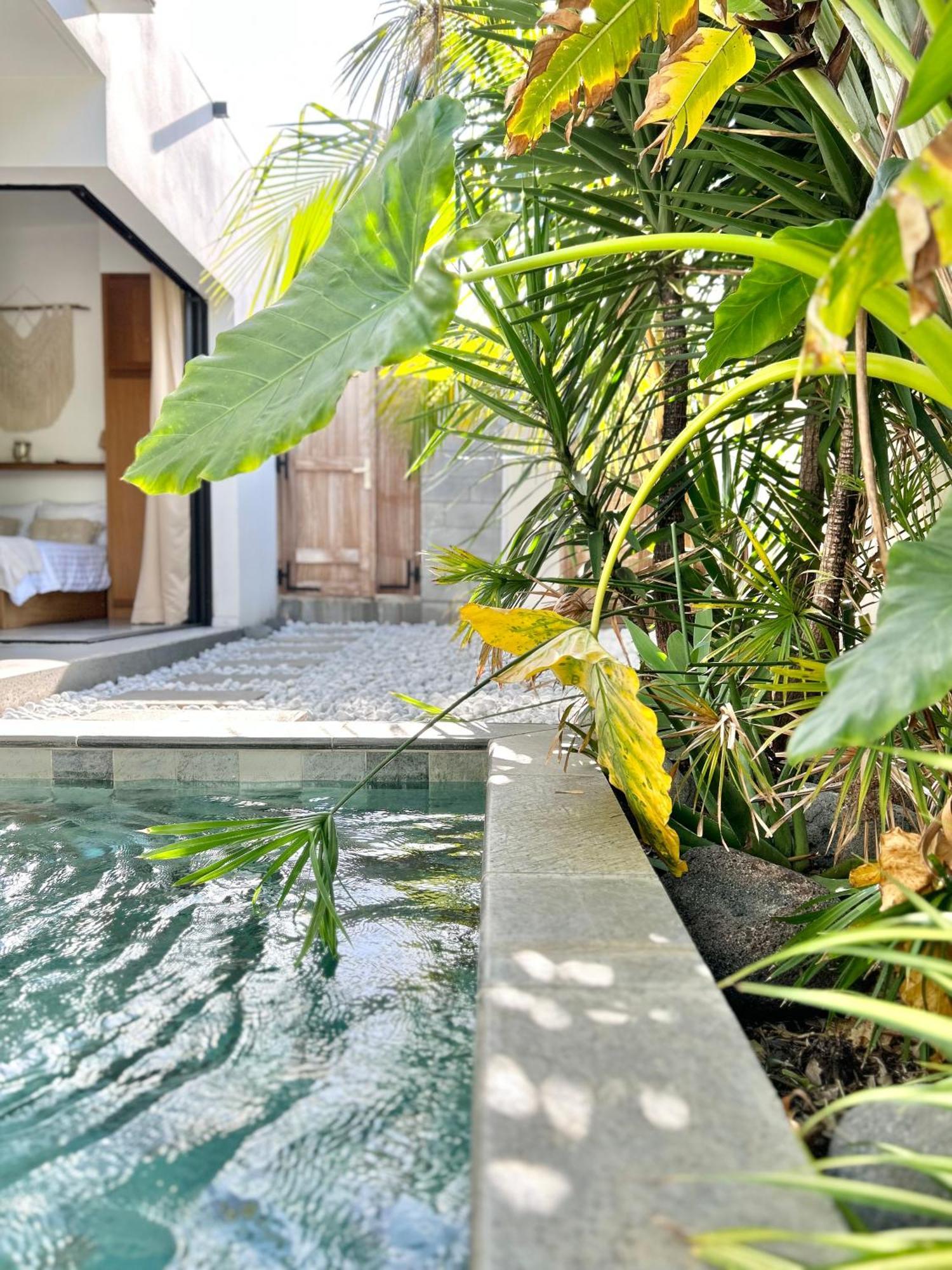 Villa Le Yucca 974 By J&V Saint Pierre Exterior foto